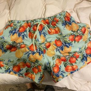 Posh peanut lucia men’s swim suit